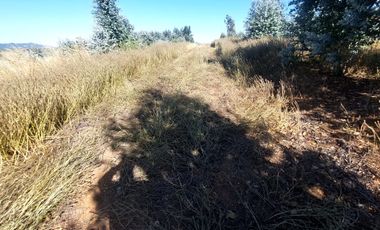 Vende Parcelas Altos del Bosque, Concepción, SIN COSTO DE COMISION.