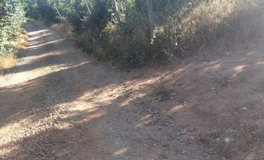 Vende Parcelas Altos del Bosque, Concepción, SIN COSTO DE COMISION.