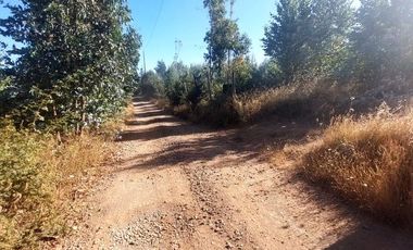 Vende Parcelas Altos del Bosque, Concepción, SIN COSTO DE COMISION.