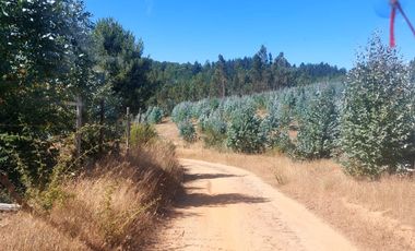 Vende Parcelas Altos del Bosque, Concepción, SIN COSTO DE COMISION.