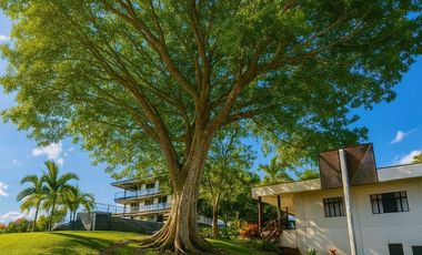 VENTA DE FINCA HOTEL EN PEREIRA RISARALDA.