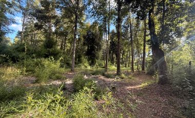 Se Vende Parcela con bosque, 2 casas container sector Lumaco, Paillaco, Región de Los Ríos.