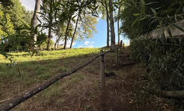 Se Vende Parcela con bosque, 2 casas container sector Lumaco, Paillaco, Región de Los Ríos.