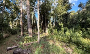 Se Vende Parcela con bosque, 2 casas container sector Lumaco, Paillaco, Región de Los Ríos.