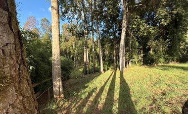 Se Vende Parcela con bosque, 2 casas container sector Lumaco, Paillaco, Región de Los Ríos.