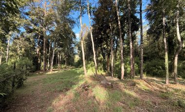 Se Vende Parcela con bosque, 2 casas container sector Lumaco, Paillaco, Región de Los Ríos.