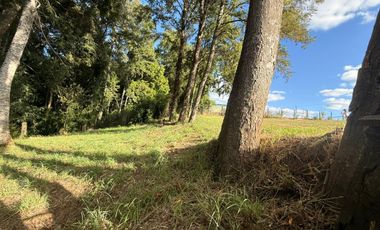 Se Vende Parcela con bosque, 2 casas container sector Lumaco, Paillaco, Región de Los Ríos.