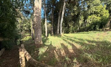 Se Vende Parcela con bosque, 2 casas container sector Lumaco, Paillaco, Región de Los Ríos.