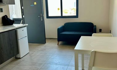 Departamentos en renta en la Colonia Roma