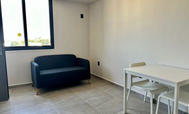 Departamentos en renta en la Colonia Roma