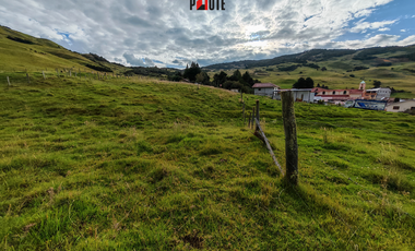 Terreno en venta en Guachapala con excelente ubicación y alto potencial