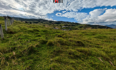 Terreno en venta en Guachapala con excelente ubicación y alto potencial