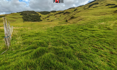 Terreno en venta en Guachapala con excelente ubicación y alto potencial