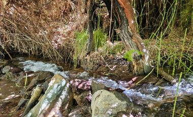 Venta hermoso terreno en Huanta, agua de riego, 2.5 ha. Vicuña, Valle del Elqui. $110 mm