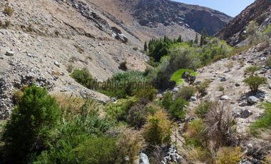 Venta hermoso terreno en Huanta, agua de riego, 2.5 ha. Vicuña, Valle del Elqui. $110 mm