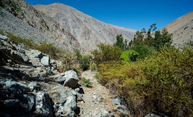 Venta hermoso terreno en Huanta, agua de riego, 2.5 ha. Vicuña, Valle del Elqui. $110 mm