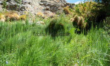 Venta hermoso terreno en Huanta, agua de riego, 2.5 ha. Vicuña, Valle del Elqui. $110 mm