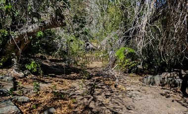 Venta hermoso terreno en Huanta, agua de riego, 2.5 ha. Vicuña, Valle del Elqui. $110 mm