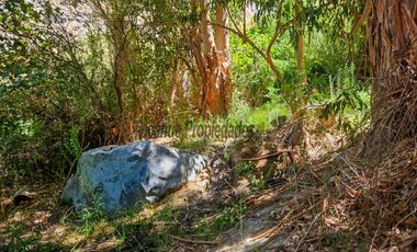 Venta hermoso terreno en Huanta, agua de riego, 2.5 ha. Vicuña, Valle del Elqui. $110 mm