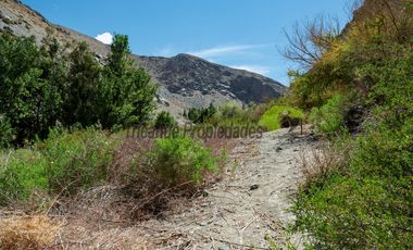 Venta hermoso terreno en Huanta, agua de riego, 2.5 ha. Vicuña, Valle del Elqui. $110 mm