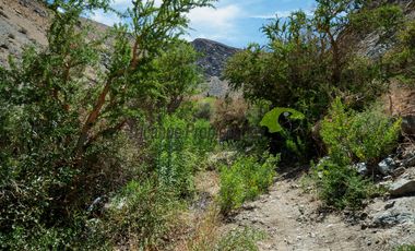 Venta hermoso terreno en Huanta, agua de riego, 2.5 ha. Vicuña, Valle del Elqui. $110 mm
