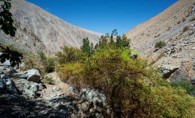 Venta hermoso terreno en Huanta, agua de riego, 2.5 ha. Vicuña, Valle del Elqui. $110 mm