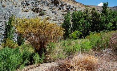Venta hermoso terreno en Huanta, agua de riego, 2.5 ha. Vicuña, Valle del Elqui. $110 mm
