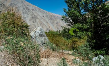Venta hermoso terreno en Huanta, agua de riego, 2.5 ha. Vicuña, Valle del Elqui. $110 mm
