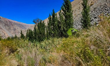 Venta hermoso terreno en Huanta, agua de riego, 2.5 ha. Vicuña, Valle del Elqui. $110 mm