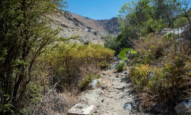 Venta hermoso terreno en Huanta, agua de riego, 2.5 ha. Vicuña, Valle del Elqui. $110 mm