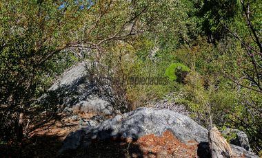 Venta hermoso terreno en Huanta, agua de riego, 2.5 ha. Vicuña, Valle del Elqui. $110 mm