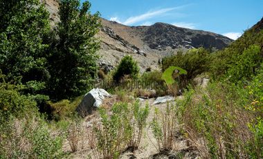 Venta hermoso terreno en Huanta, agua de riego, 2.5 ha. Vicuña, Valle del Elqui. $110 mm