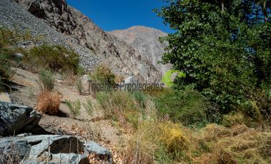 Venta hermoso terreno en Huanta, agua de riego, 2.5 ha. Vicuña, Valle del Elqui. $110 mm