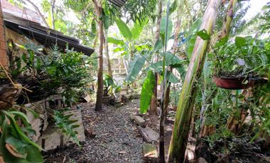 Venta de casa con apartamento en Riofrio Valle del Cauca