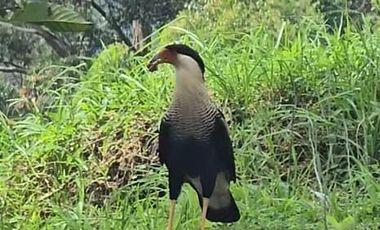 Lote en Venta Rionegro en el Tablazo cerca a Llanogrande