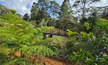 Lote en Venta Rionegro en el Tablazo cerca a Llanogrande