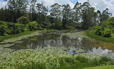 Lote en Venta Rionegro en el Tablazo cerca a Llanogrande