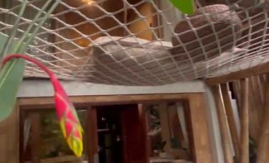 Bangun Ketenangan di Villa Mewah Paling Private (Baca Deskripsi)