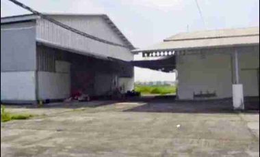 Murah Gudang Ex Pabrik Jalan Raya Lamongan Babat, Pucuk