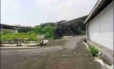 Murah Gudang Ex Pabrik Jalan Raya Lamongan Babat, Pucuk
