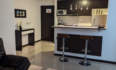 Suite de alquiler en Torresol