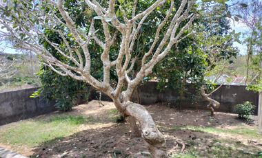 Dijual Vila MURAH Ocean View di Nusa Dua! BUC