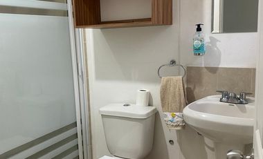 RENTA DE CASA AMUEBLADA EN VIÑEDOS 3 RECAMARAS UN PISO SALIDA LEON SILAO