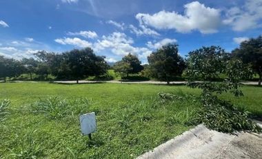 RE-PRICE 🔥𝐅𝐈𝐑𝐄 𝐒𝐀𝐋𝐄 🔥 𝗟𝗢𝗧 𝗙𝗢𝗥 𝗦𝗔𝗟𝗘 in Lumira, Nuvali Laguna