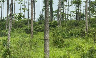 Tanah Karawang Barat Timur Cikarang Klari Jababeka Klari