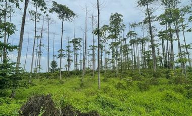 Tanah Karawang Barat Timur Cikarang Klari Jababeka Klari