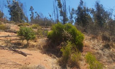SE VENDE PARCELA DE AGRADO COND VALLE VERDE MAR, QUILPUE-LIMACHE