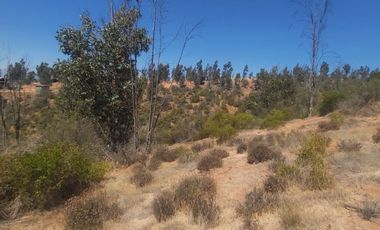 SE VENDE PARCELA DE AGRADO COND VALLE VERDE MAR, QUILPUE-LIMACHE