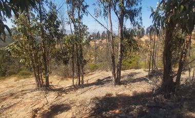 SE VENDE PARCELA DE AGRADO COND VALLE VERDE MAR, QUILPUE-LIMACHE