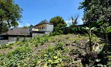 TANAH LANGKAH DAN STARTEGIS KAWASAN DI CARGO DENPASAR BARAT GOOD LOCATION